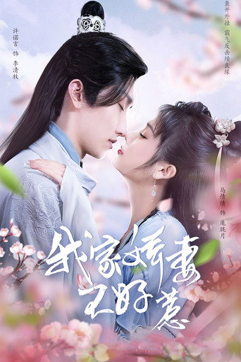 我家娇妻不好惹海报