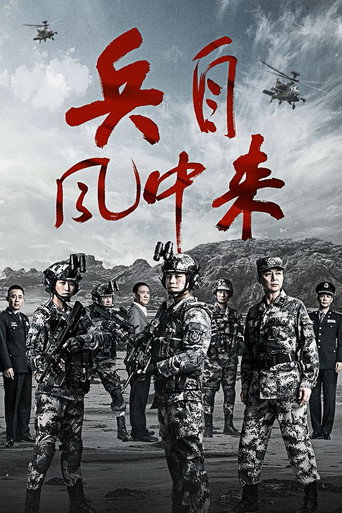 兵自风中来海报