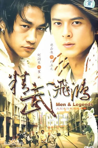精武飞鸿海报