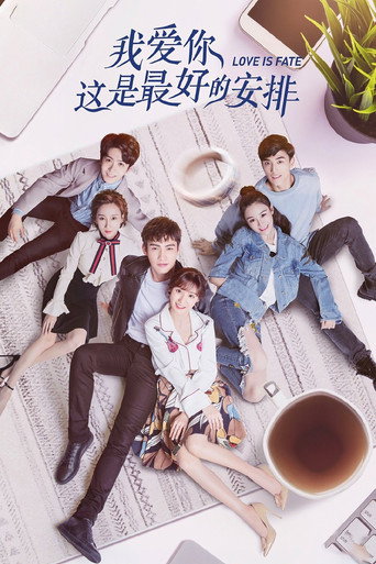 我爱你，这是最好的安排海报