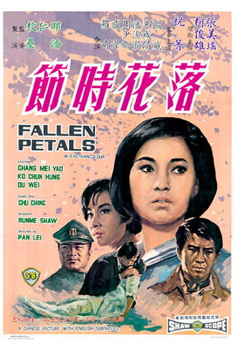 落花时节海报