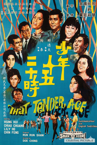 少年十五二十时海报
