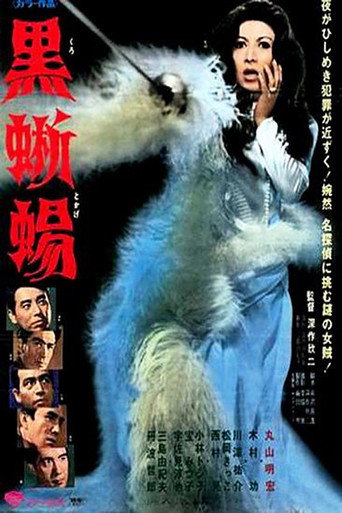 黑蜥蜴海报