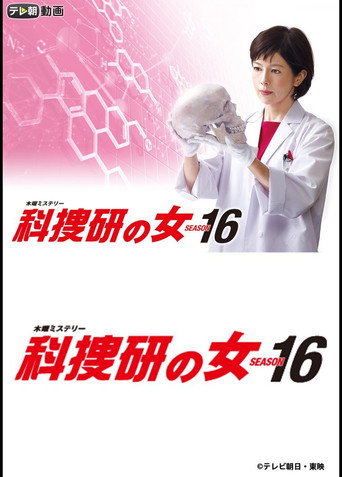 科搜研之女 第 16 季海报