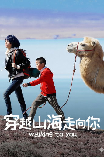 穿越山海走向你海报