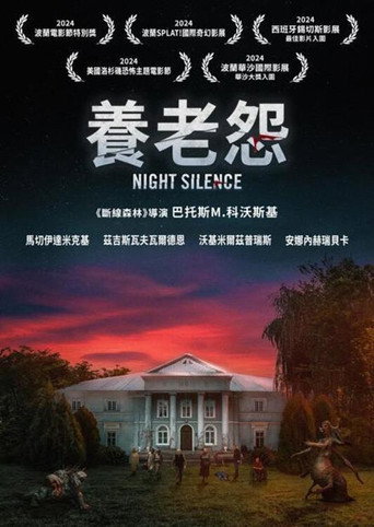 寂静之夜海报