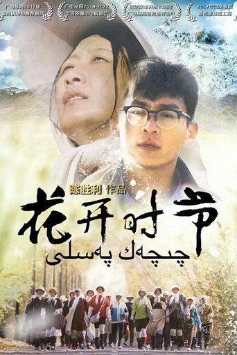 花开时节海报
