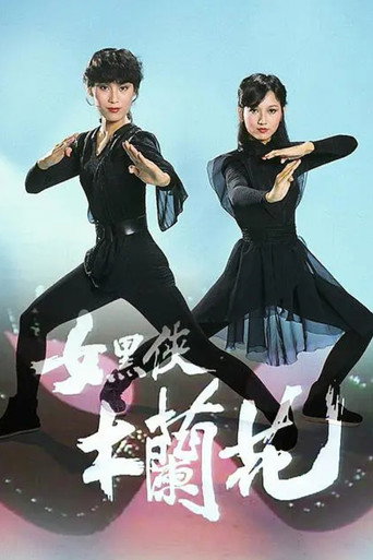 女黑侠木兰花海报