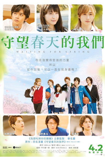 守望春天的我们海报