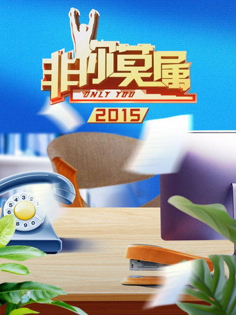 非你莫属 2015年海报
