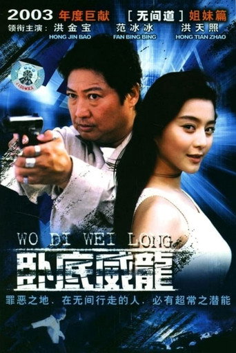 特警飞龙海报