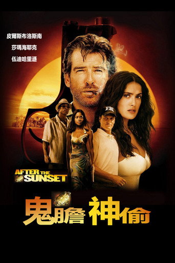 日落之后海报