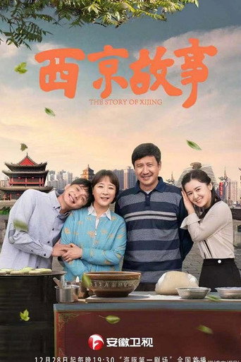 西京故事海报