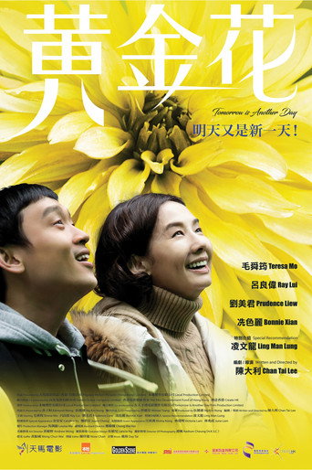 黄金花海报