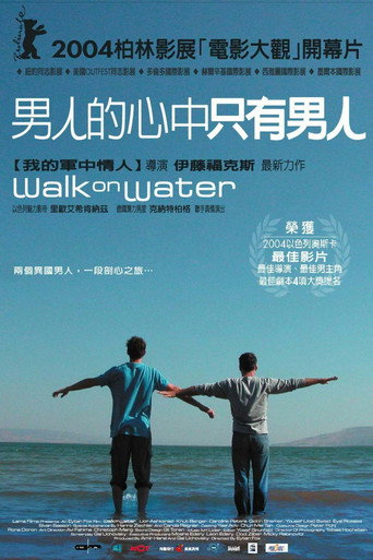 水中漫步海报