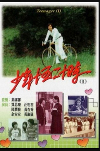 少年十五二十时海报
