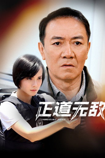 正道无敌海报