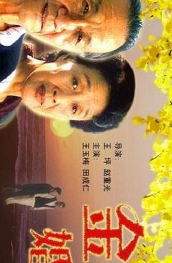 金婚海报