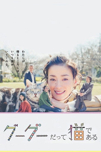 咕咕是一只猫海报