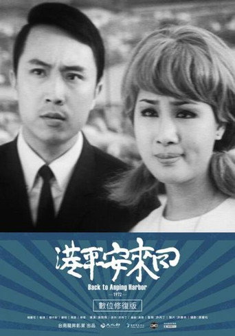 回来安平港海报