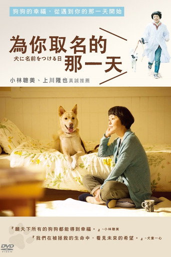 为你取名的那一天海报