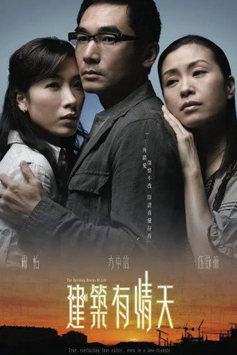 建筑有情天海报