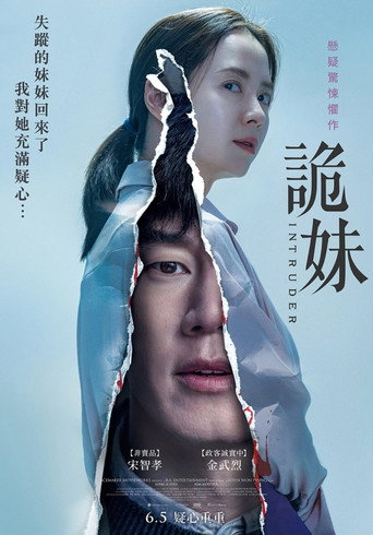 侵入者海报