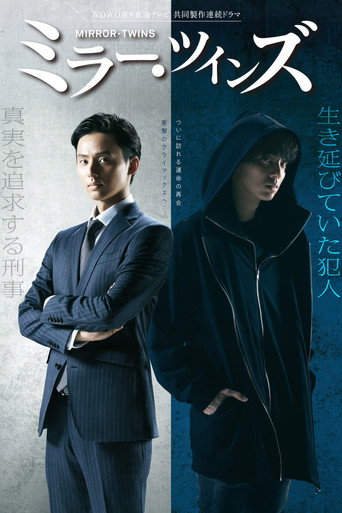 镜像双胞胎海报