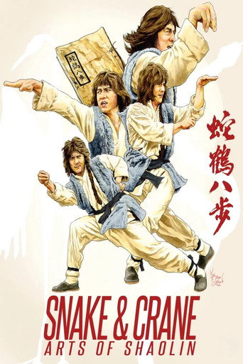蛇鹤八步海报
