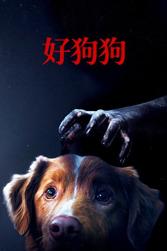 好狗狗海报