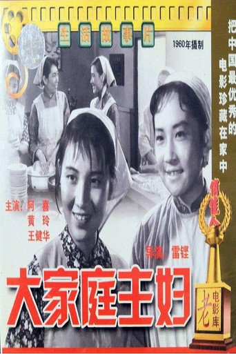 大家庭主妇海报