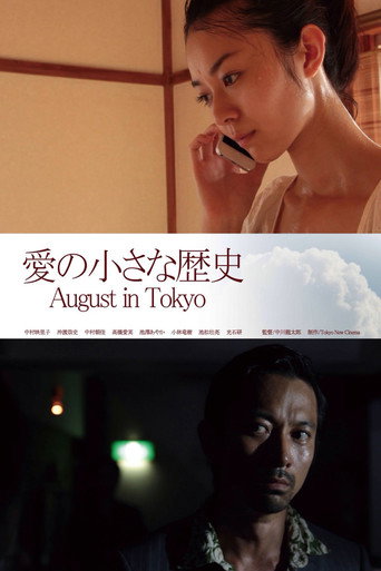 爱的小历史海报