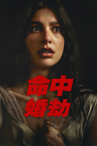 命中婚劫海报