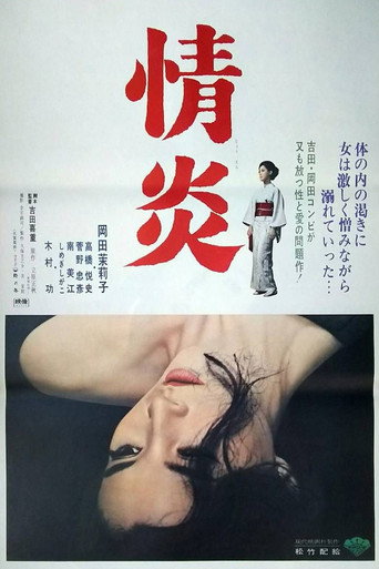 情炎海报