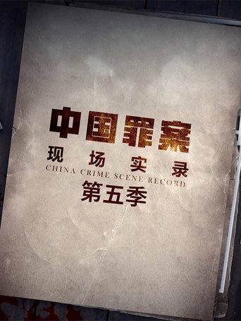 罪案现场实录 第 5 季海报