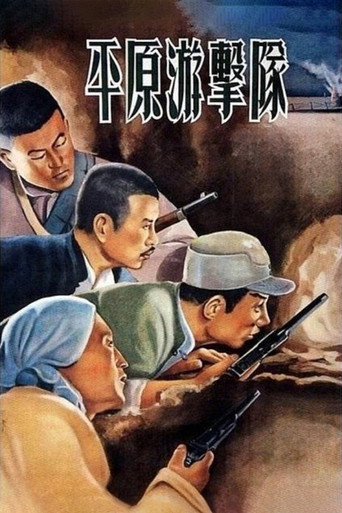 平原游击队海报