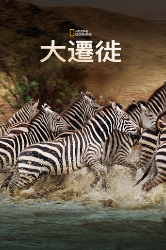 国家地理：大迁徙海报