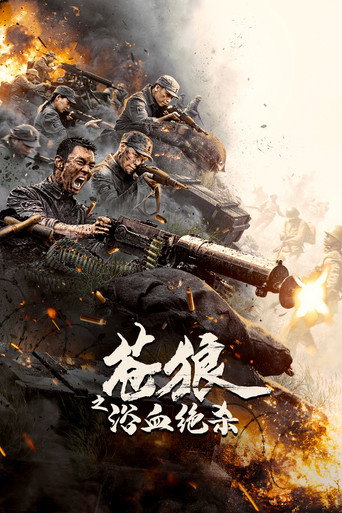 苍狼之浴血绝杀海报