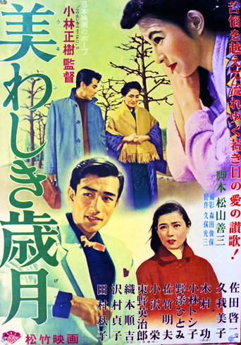 美好岁月海报