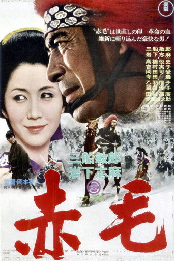赤毛海报