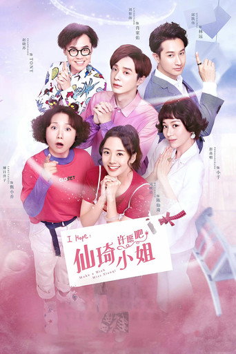 仙琦小姐许愿吧海报