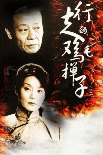 行走的鸡毛掸子海报