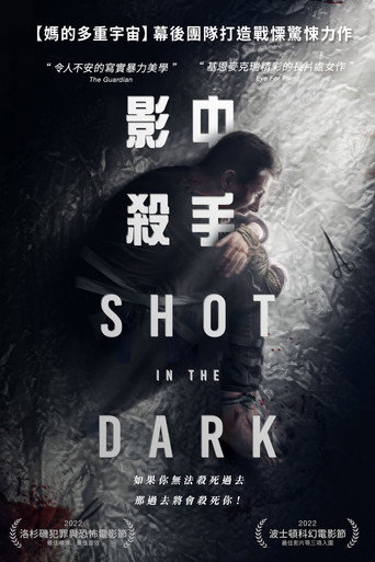 暗中一枪海报