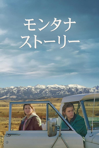 蒙大拿故事海报