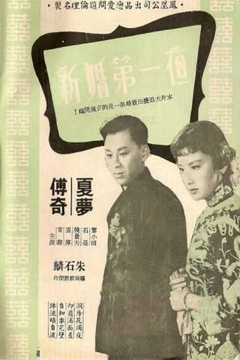新婚第一夜海报