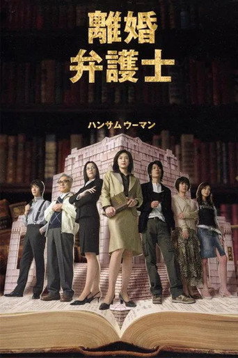 离婚女律师海报