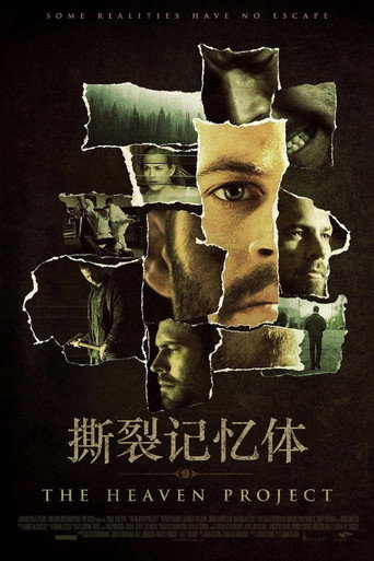 撕裂记忆体海报