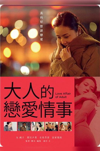 成年人的爱情故事海报
