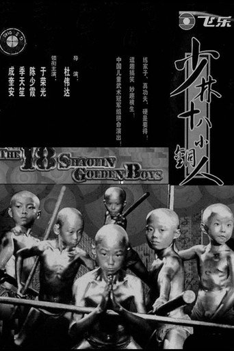 铜马铁燕传奇海报