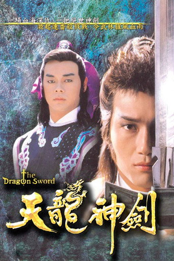 天龙神剑海报